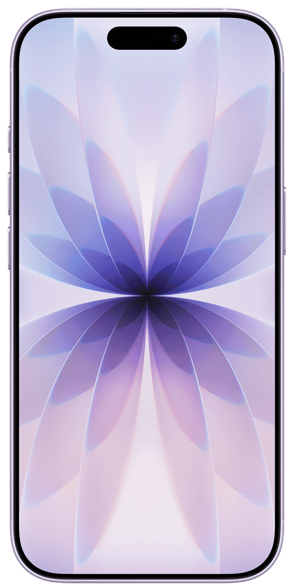 Apple iPhone prize